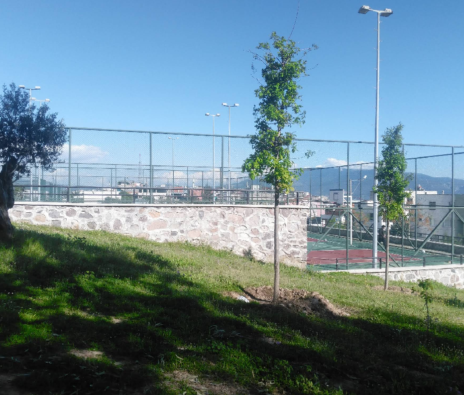 Altınordu Futbol Okulu